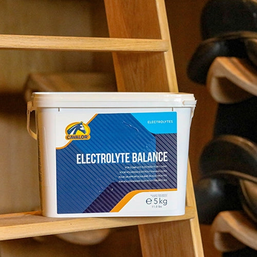 Cavalor Electrolyte Balance – допълваща храна за коне. Електролити за пълноценна електролитно възстановяване.