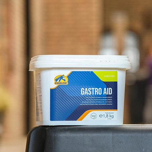 Gastro Aid - при проблеми със стомашни язви и гастрит