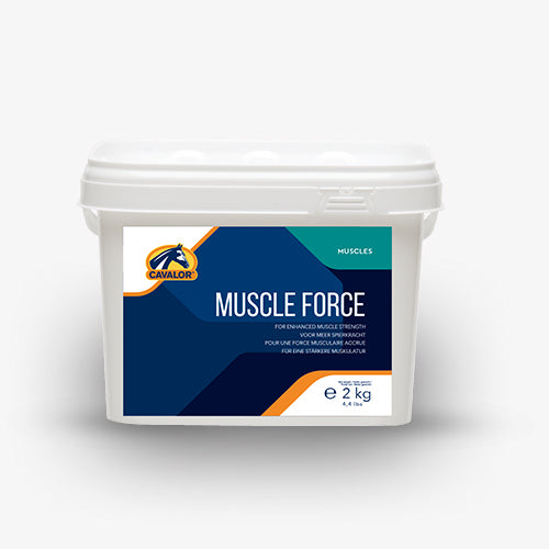 Muscle Force  - Добавка, осигуряваща систематично натрупване на мускули с дълготрайни резултати