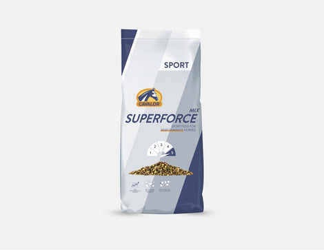 Спорт
